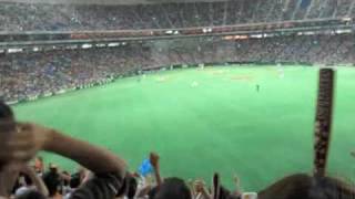 Japan Vlog 37  Baseball [upl. by Benjy]