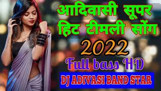 Super Hit Song 2022  Non Stop 2022  New Super Hit Timli Song 2022  Dj Adivasi Band Star [upl. by Aronal333]