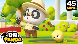 🐼🐱‍🐉 Archaeologist Panda  More  NEW COMPILATION  Dr Panda [upl. by Culliton673]