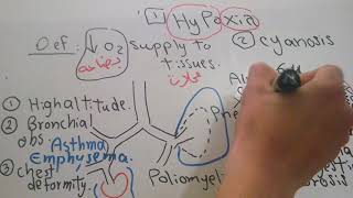 Respiratory new system Hypoxia and Cyanosis dr mohamed fayez [upl. by Acissj]