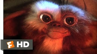 Gremlins Final Scene and End Credits [upl. by Isied]