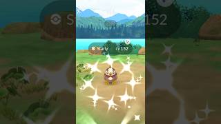 Shiny Starly Pokemon GO [upl. by Suravaj]