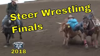 Steer Wrestling Finals Cinch Spring Thaw 2018 Full Version [upl. by Ruhtra]