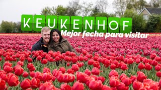 KEUKENHOF  ¿Mejor fecha cómo llegar cuánto cuesta  TULIPANES  Holanda  Vagajuntos [upl. by Shorter829]