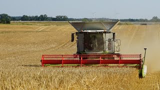 Barley harvest  EastGermany  Claas lexion 7400  Claas Trion 750 TT [upl. by Rubel]