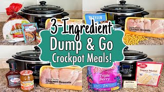 6 DUMP amp GO CROCKPOT DINNERS  The BEST Quick amp EASY 3INGREDIENT Slow Cooker Meals  Julia Pacheco [upl. by Pennebaker]