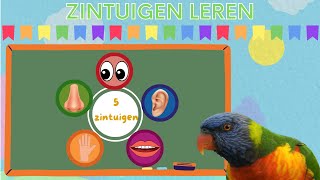 Zintuigen Leren ☆ Leer de 5 Zintuigen ☆ Educatieve Nederlandse Kinderfilmpje voor Peuter en Kleuters [upl. by Leiuqeze]