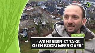 Onvrede in Azewijn om kapvergunning voor monumentale boom [upl. by Meyeroff]