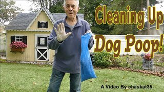 Cleaning Up Dog Poop [upl. by Nahtiek]