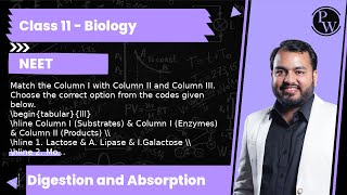 Match the Column I with Column II and Column III Choose the correct option from the codes given [upl. by Willet]