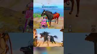 BGMIWOOD VS HOLLYWOOD pubg pubgmobile bgmi horse gaming viralshort viralvideo trending [upl. by Ahtnahc136]