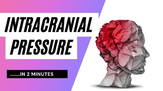 Intracranial Pressure in 2 minutes [upl. by Rex]