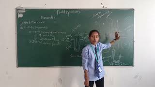 Fluid Mechanics Manometer by Ankita Padole Student of Civil Engineering TGPCET [upl. by Nami826]