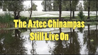 The Aztec Chinampas Live On [upl. by Gannon717]