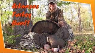 Turkey hunting  Arkansas spring turkey hunt [upl. by Aloin]