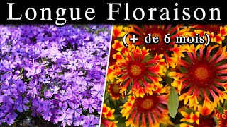 7 Plantes Vivaces Facile pour son Jardin Beaucoup de Fleurs [upl. by Yurik]