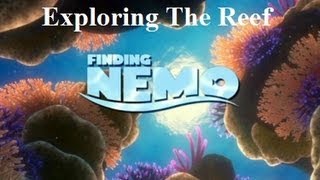 Finding Nemo  Exploring The Reef [upl. by Enelcaj]