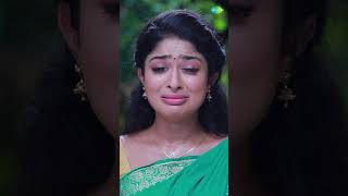 Malli Serial Shorts  Episode 205 Promo  Nikitha  Vijay  shorts ytshorts youtubeshorts [upl. by Hearn]