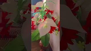 flower song bollywood music [upl. by Brinn]