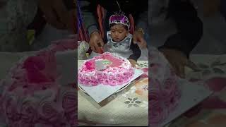 My sweet Princess brithday cake cutting youtubeshorts cutebaby viralreels [upl. by Nnyllatsyrc]