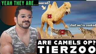 Are Camels OP TierZoo Reaction [upl. by Vena]