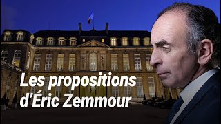 Le programme dEric Zemmour pour lélection présidentielle [upl. by Bank]