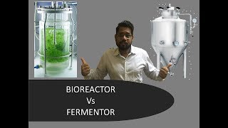 Fermentor and Bioreactor What is the Difference [upl. by Anola806]