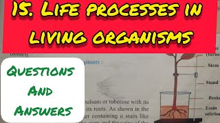 9th Std  Science  Chapter 15 Life processes in living organisms answers exerciseMaharashtra board [upl. by Aikehs]