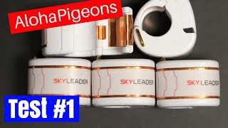 SKYLEADER GPS Homing Racing Pigeon Ring 1st Test [upl. by Enogitna]