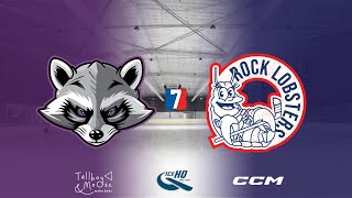 Trash Pandas v Rock Lobsters  Div 7  7th December  iceHQ Rec League ice hockey [upl. by Darsie]