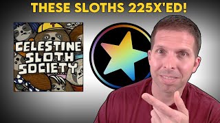 These NFTs just 225Xed  What Are Celestine Sloth Society NFTs Sloths Explained [upl. by Shantha752]