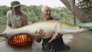 Incredible REEL TIME Arapaima Catch  ARAPAIMA  River Monsters [upl. by Hammer823]