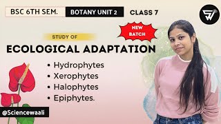 Ecological AdaptationHydrophytes Xerophytes Halophytes EpiphytesBSc 6th semester botany Unit 2 [upl. by Vivl]