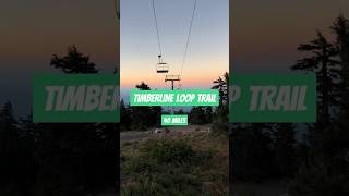 Timberline Loop Trail around Mt Hood in Oregon 🏕️🏔️☀️ [upl. by Rocca]