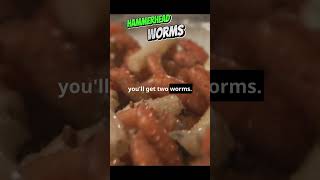 Hammerhead Worms The Alien Invaders [upl. by Ecinna]