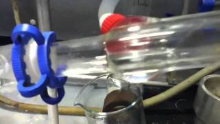 Steam Distillation of Limonene [upl. by Kordula]