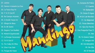 GRUPO MANDINGO EXITOS SUS MEJORES CANCIONES DE GRUPO MANDINGO  MIX ROMANTICAS 2022 [upl. by Bowers378]