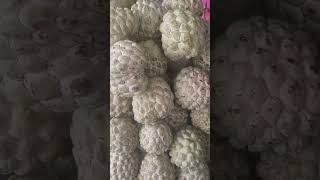 Custard apple benefits Telugu [upl. by Enyahs247]