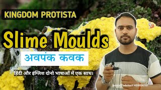 Slime Moulds  Slime Moulds class 11  Slime Moulds Fungi  Fungi like protists  Biology By Ashish [upl. by Mw]