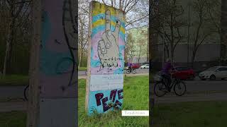 Die AsahiKirschblütenallee  Kirschblüte in Berlin 1 [upl. by Teeniv]