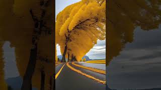 Nature Yellow Tree nature naturevideo shorts [upl. by Ecilegna]