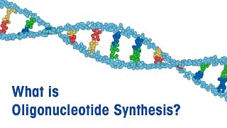 What is Oligonucleotide Synthesis [upl. by Lovich32]