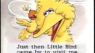 Sesame Street StartToRead Video  Nobody Cares About Me [upl. by Ludlow]