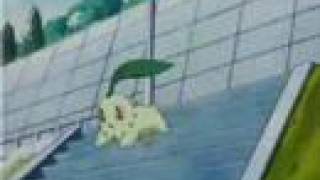 Chikorita theme [upl. by Anniken118]