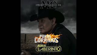 1 Hora De Puros Corridos De Caballos De Grupo Laberinto 🐎 [upl. by Yralih745]