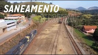 113 Curiosidades Ferroviárias  Instalação de AMV  Saneamento Vegetal [upl. by Katushka]