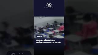 Goiás Aluna é atacada por cachorro dentro da escola [upl. by Refitsirhc746]