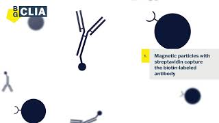 The CLIA immunoassay  How do kits work [upl. by Haakon]