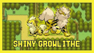 LIVE Shiny Growlithe em 7926 REs na Fase 4  Evolução no Pokémon HeartGold HeartGold DTQ 3 [upl. by Aesoh549]