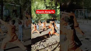 Shaolin Kung fu Ji Ben Gong virul trending [upl. by Karame28]